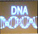 dna_screen